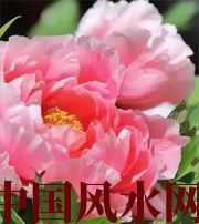 淮北预示你财运上升，姻缘可成的梦境，快来看看吧！