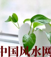 淮北家中摆放六种吉祥物，会打开您的财运大门！