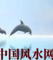 淮北做梦梦到这些，是要富裕的征兆！